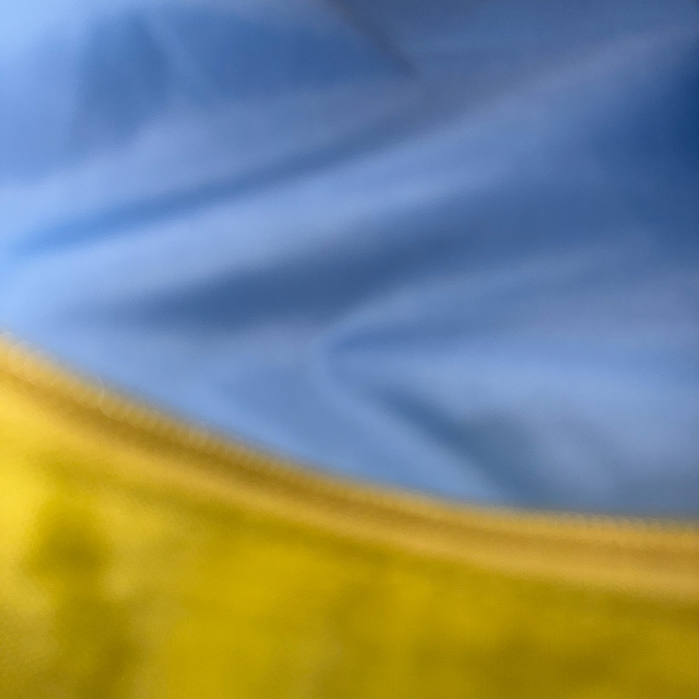 Baggallini Mustard Yellow Crossbody Bag - Picture 6 of 12